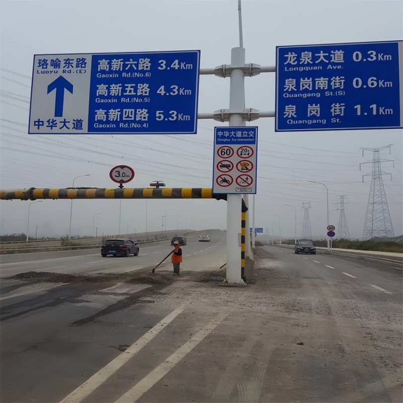 双悬臂杆