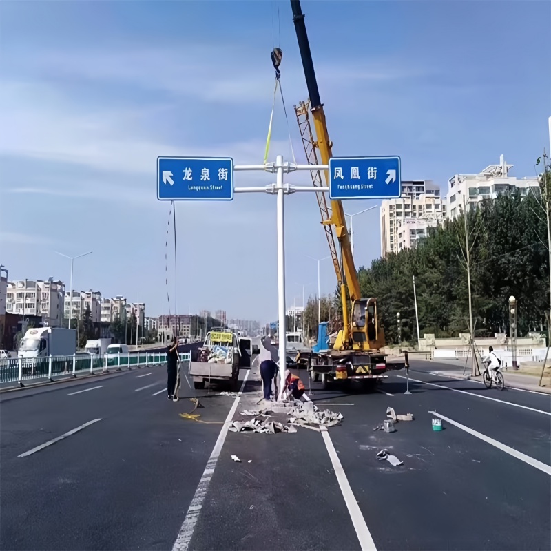 双悬臂杆